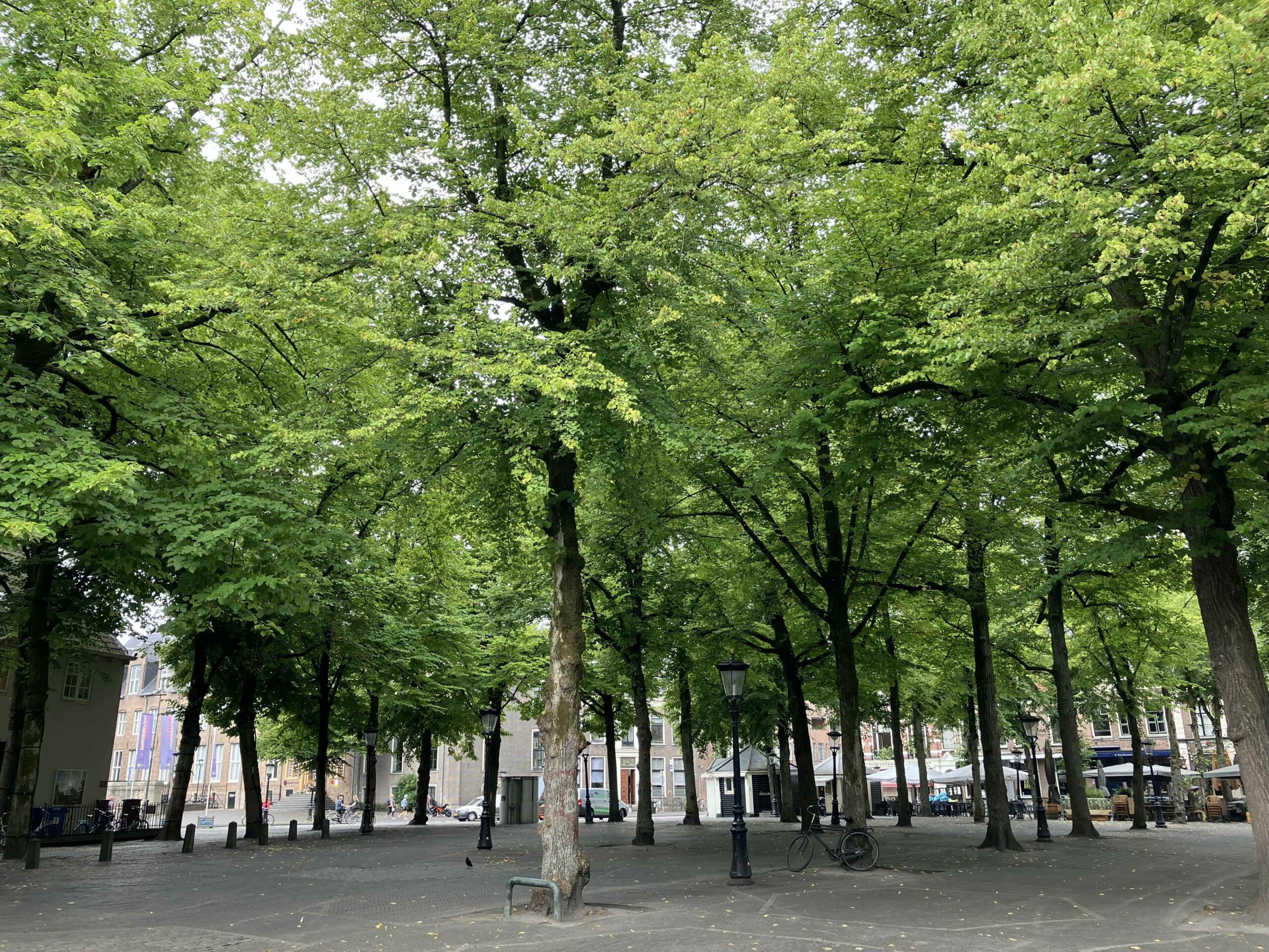 Werkwijze img 5030